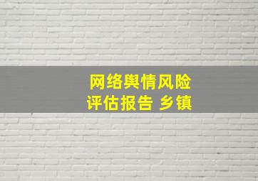 网络舆情风险评估报告 乡镇